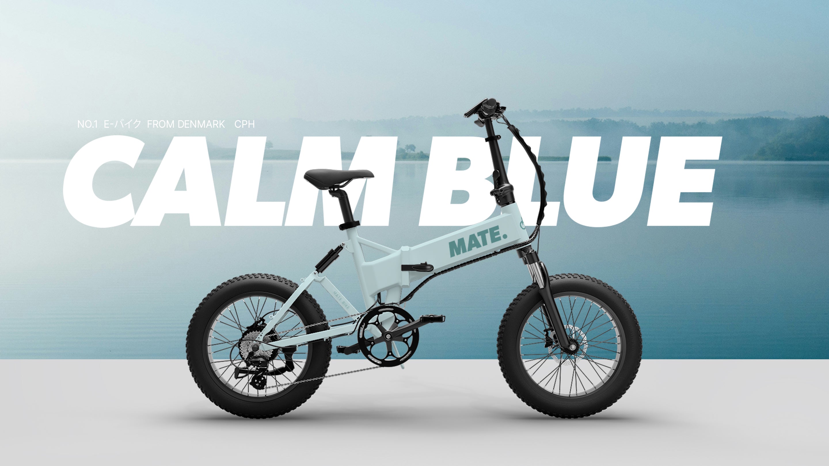 MATE X系 BMX電動自転車EBIKE 750W Mate X Ebike - Main Image