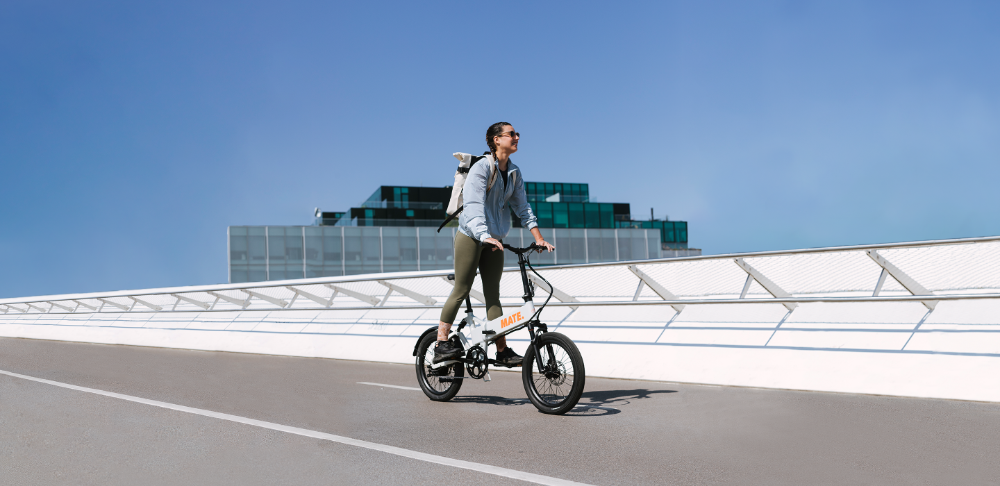 panel_fusion_sample.png?v= panel_fusion_sample.png?v=