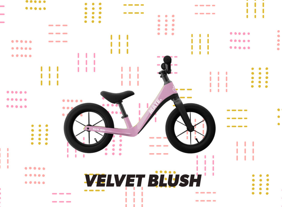 VELVET BLUSH